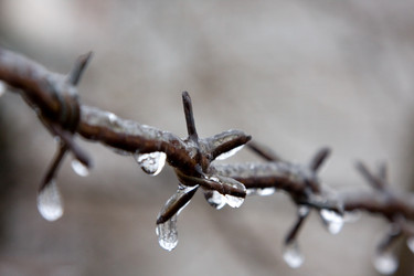 Similar image 183942