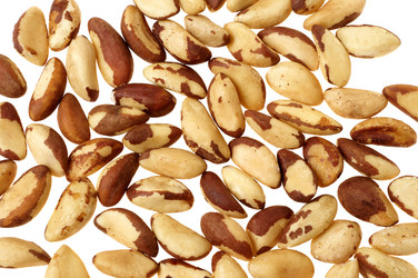 Similar image 183975