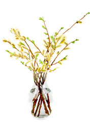 Similar image 183990