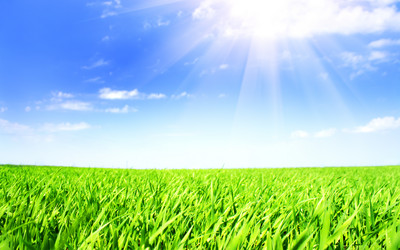 Similar image 184000