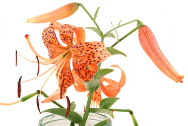 Similar image 184013