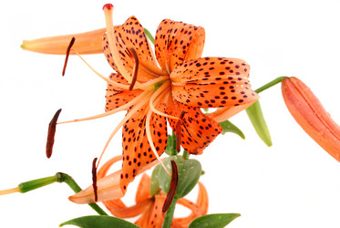 Similar image 184014