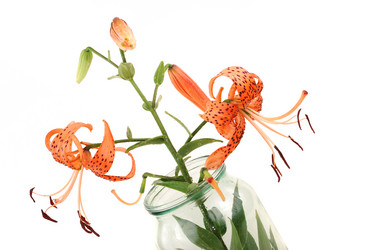 Similar image 184017