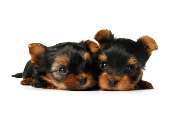 Similar image 184040