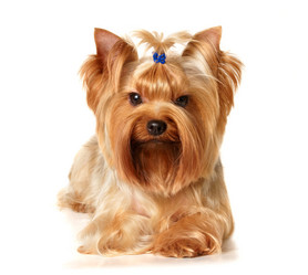 Similar image 184043