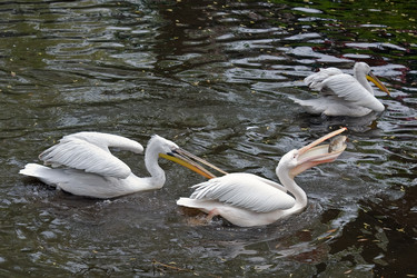 Similar image 184062