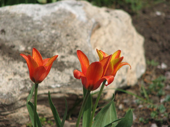 Similar image 184068