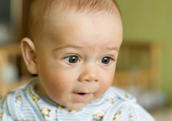 Similar image 184142