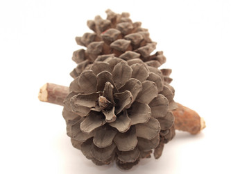 Similar image 184204