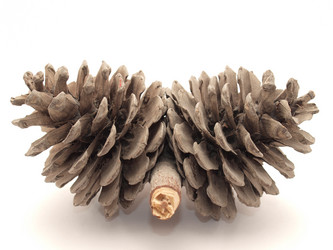 Similar image 184211