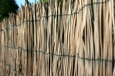 Similar image 184387