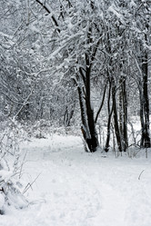 Similar image 184392