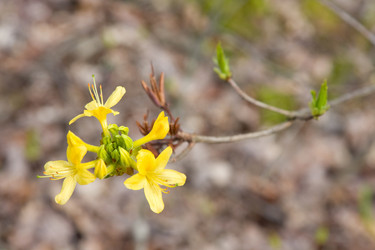 Similar image 184440