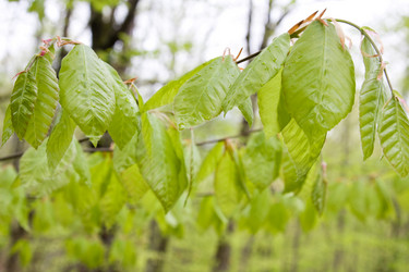 Similar image 184528