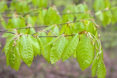 Similar image 184529