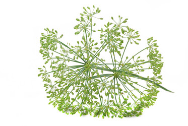 Similar image 184586