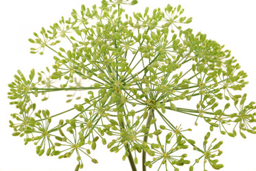 Similar image 184588