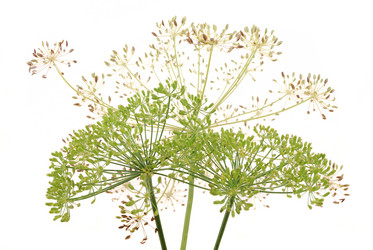 Similar image 184589