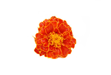 Similar image 184590