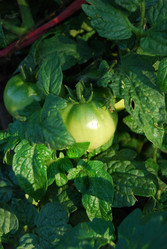 Similar image 184652