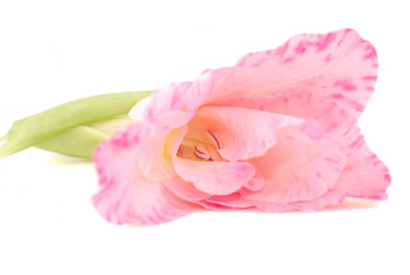 Similar image 184653