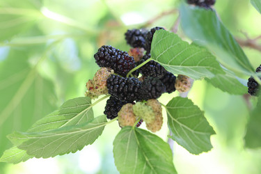 Similar image 184675