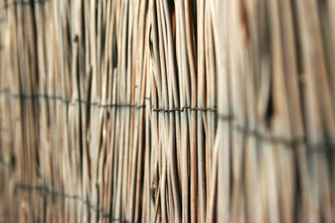 Similar image 184741