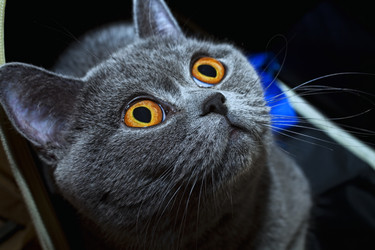 Similar image 184823