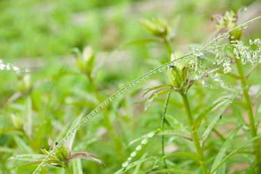 Similar image 184897