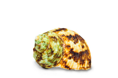 Similar image 184916