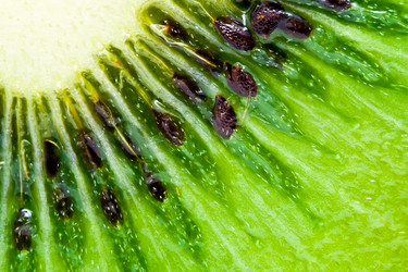 Similar image 184926