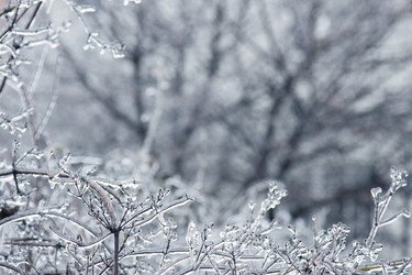 Similar image 184956