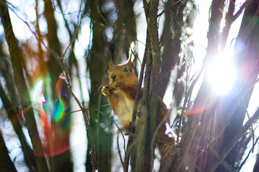 Similar image 184957