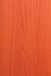 Similar image 184964