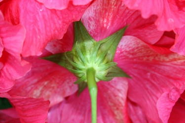 Similar image 184994