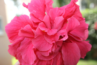 Similar image 184995