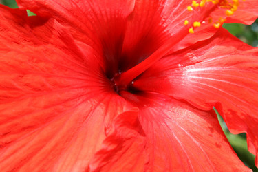 Similar image 184998