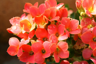 Similar image 184999