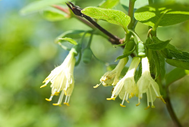 Similar image 185155