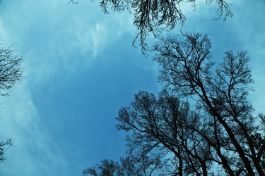 Similar image 185157