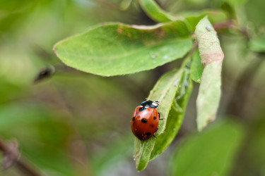 Similar image 185168