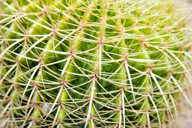 Similar image 185210