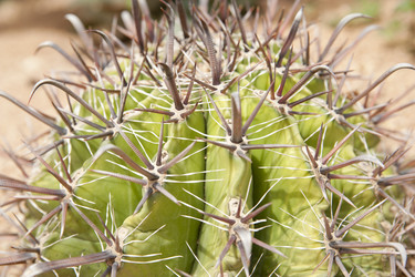 Similar image 185213