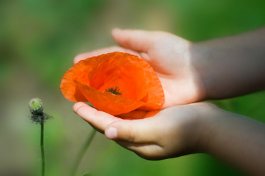 Similar image 185217