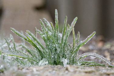 Similar image 185227