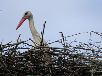 Similar image 185280