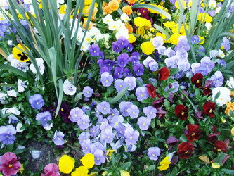 Similar image 185284