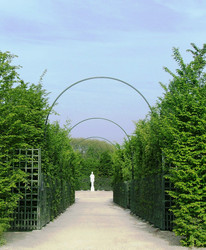 Similar image 185292