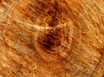 Similar image 185293