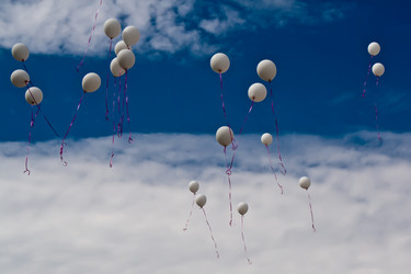 Similar image 185321